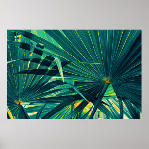 Tropical palm leaf texture background, Striped of Poster