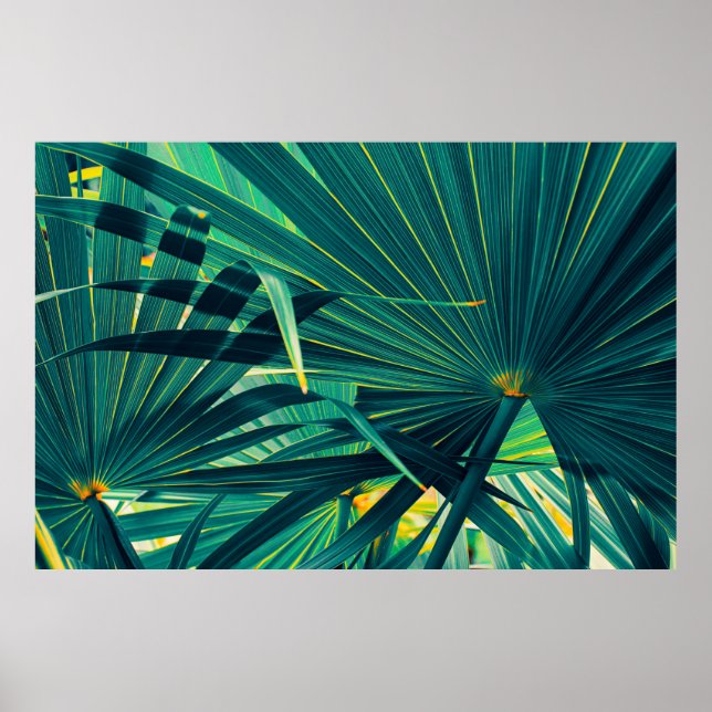 Tropical palm leaf texture background, Striped of  Poster (Front)