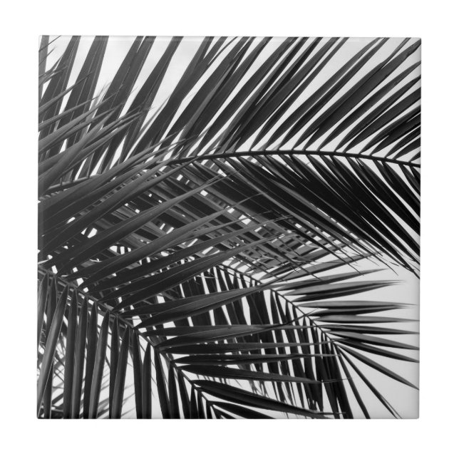 Tropical Palm Leaves - Black and White Photography Ceramic Tile (Front)