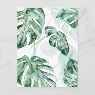 Tropical Palm Split Leaf Postcard