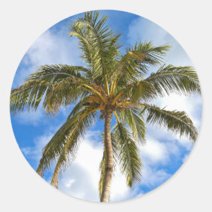 tropical palm tree and sky classic round sticker