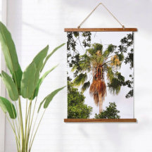 Tropical Palm Tree Botanical Photographic