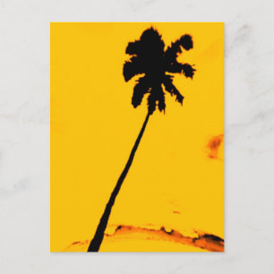 Tropical Palm Tree Postcard