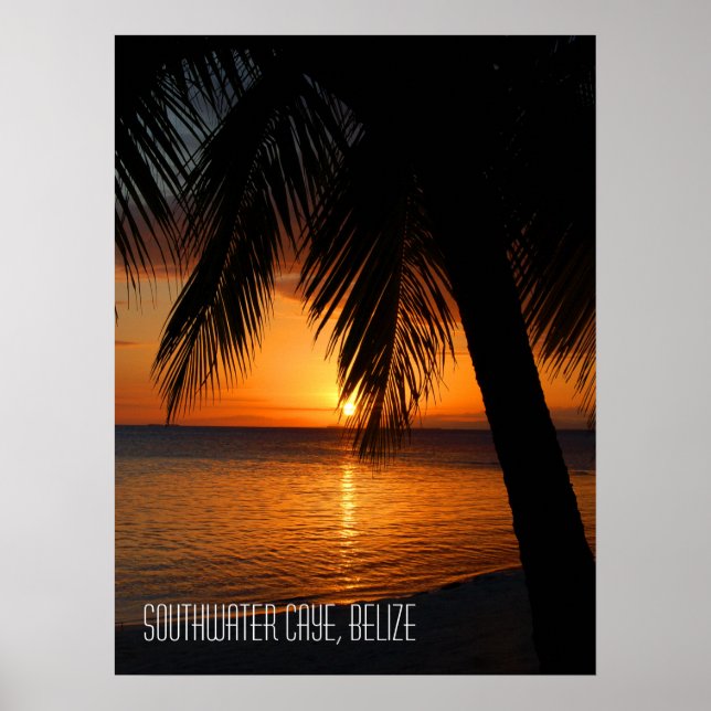 Tropical Palm Tree Sunset in Belise Poster (Front)