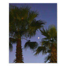 Tropical Palm Tree Wall Art Twilight Coastal