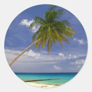Tropical Palm Tree White Sandy Beach Classic Round Sticker