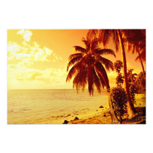 Tropical palm trees at a beach at sunset photo print