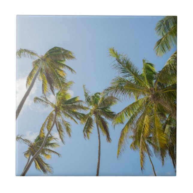 Tropical Palm Trees, Beach and vacation Style Ceramic Tile (Front)