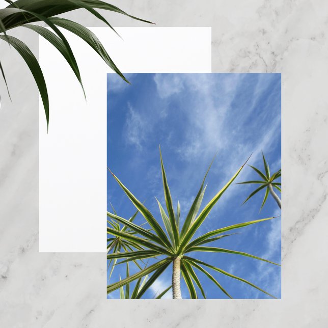 Tropical Palm Trees Blue Sky Scrapbook Paper (Creator Uploaded)