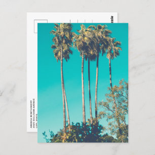  Tropical Palm Trees California Retro Postcard