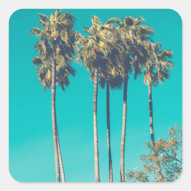Tropical Palm Trees California Retro Square Sticker (Front)