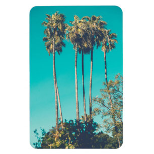 Tropical Palm Trees California Retro Vibe Magnet