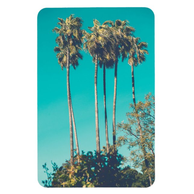Tropical Palm Trees California Retro Vibe Magnet (Vertical)