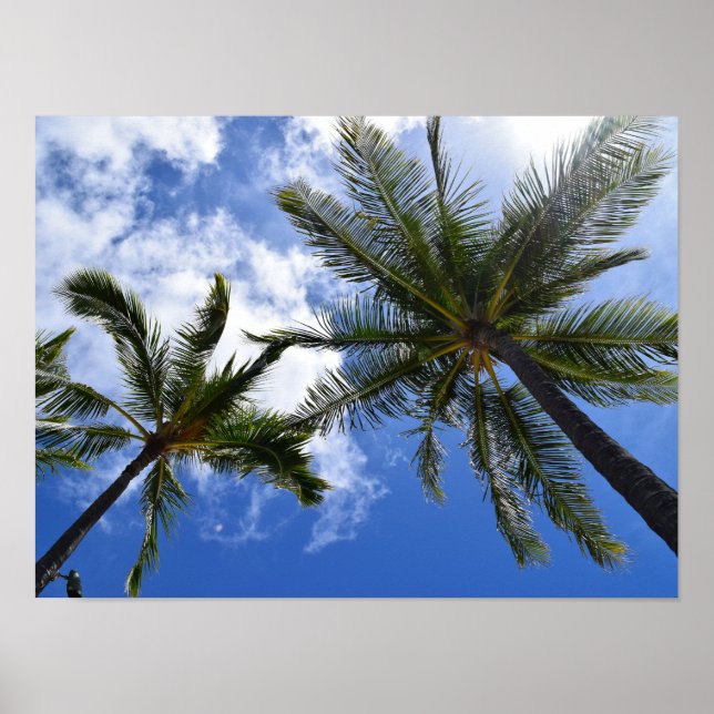 Tropical Palm Trees Photo Poster (Front)