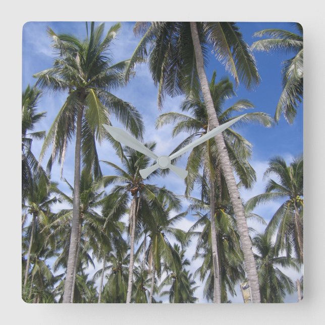 Tropical Palm Trees Square Wall Clock (Front)