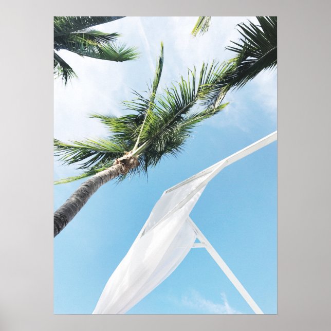 Tropical Palm Trees Under Blue Sky Photography Poster (Front)