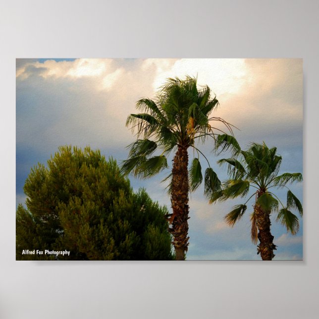 Tropical Palm Twilight Poster (Front)