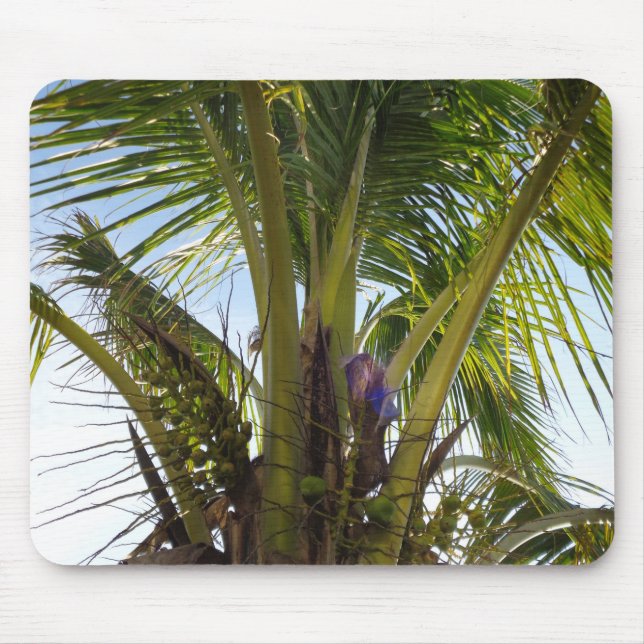 Tropical Palms Mouse Pad (Front)