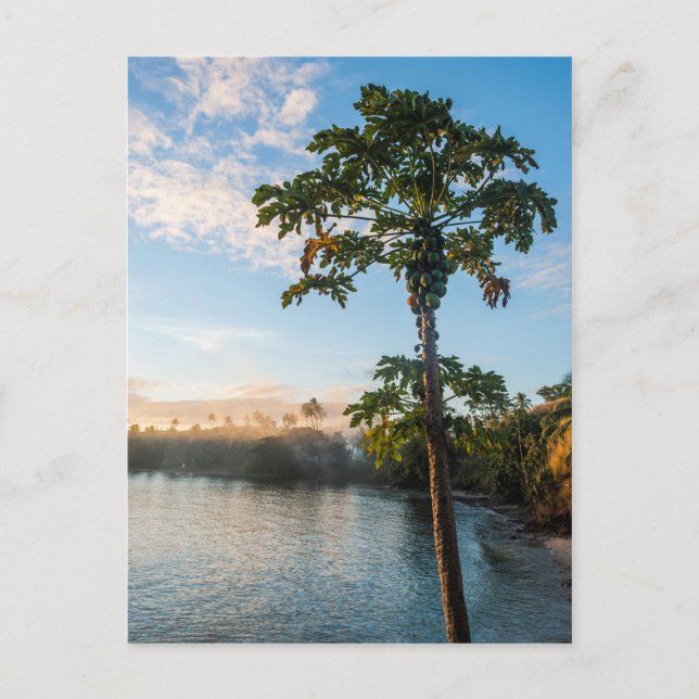 Tropical Paradise At Sunset, Fiji Postcard (Front)