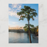 Tropical Paradise At Sunset, Fiji