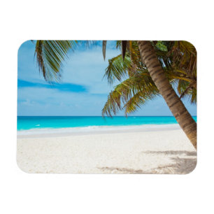 Tropical Paradise Beach Magnet