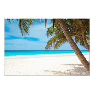 Tropical Paradise Beach Photo Print
