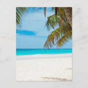 Tropical Paradise Beach Postcard