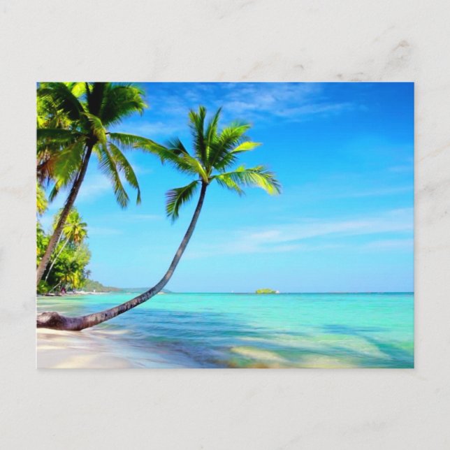 Tropical Paradise Beautiful Beach and Palm Trees  Postcard (Front)