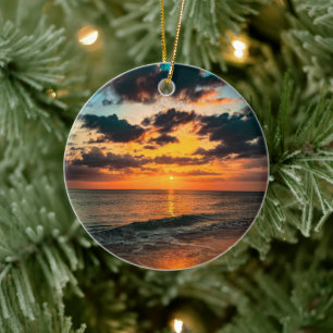 Tropical paradise Christmas Ornament
