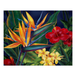 Tropical Paradise Hawaiian Floral Posters