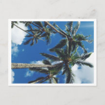 Tropical Paradise Palm Trees Postcard