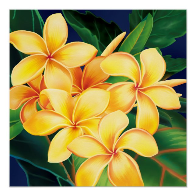 Tropical Paradise Plumeria Hawaiian Poster (Front)