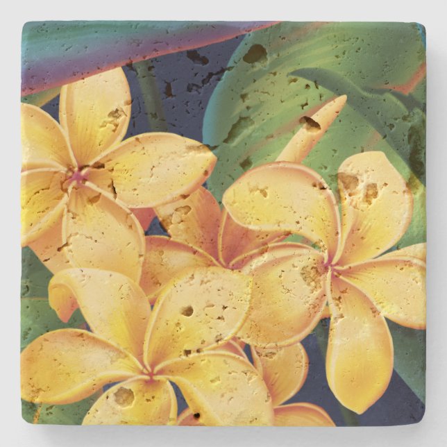 Tropical Paradise Plumeria Stone Tiki Bar Coaster (Front)