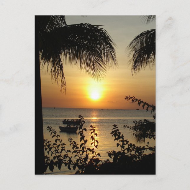 Tropical Paradise Postcard (Front)