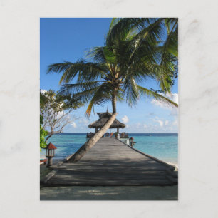 Tropical paradise - Today's Best December 12, 2007 Postcard