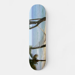Tropical Paradise Water Beach Sand Surf Destiny Skateboard