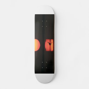 Tropical Paradise Water Beach Sunset Birds Destiny Skateboard