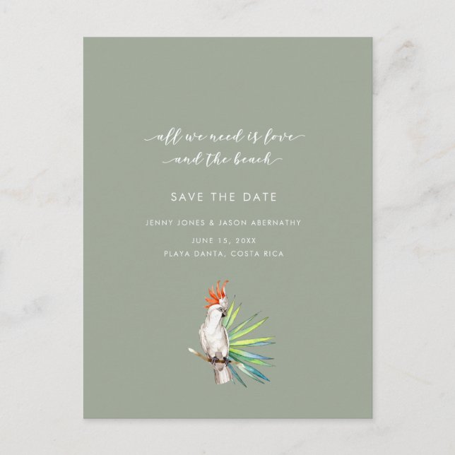 Tropical Parrot Beach Wedding Save the Date Announcement Postcard (Front)