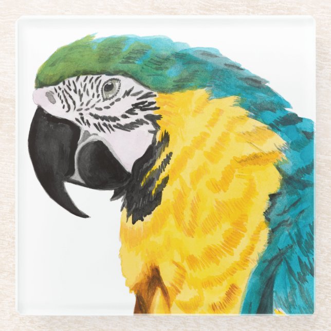Tropical Parrot Bird Glass Coaster (Front)