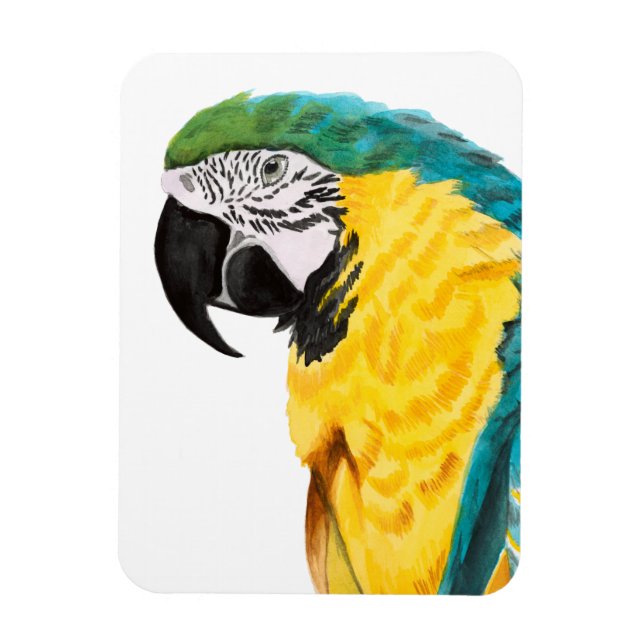 Tropical Parrot Bird Magnet (Vertical)
