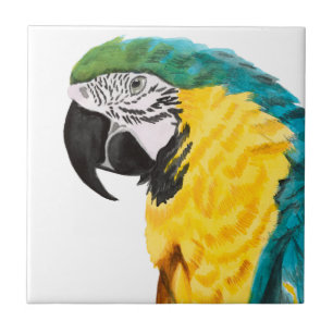 Tropical Parrot Bird Tile