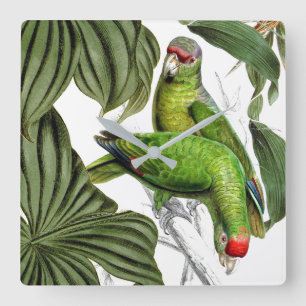 Tropical Parrot Birds Wildlife Animals Wall Clock