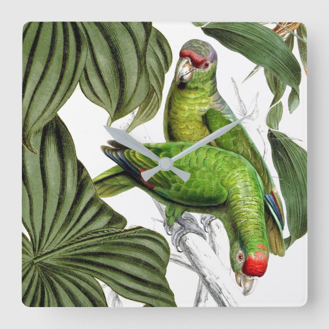 Tropical Parrot Birds Wildlife Animals Wall Clock (Front)
