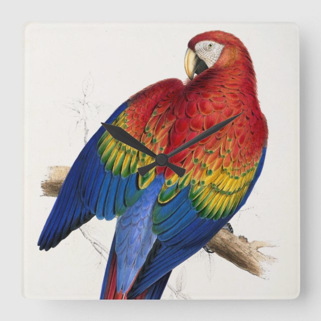 Tropical Parrot Clock (Front)