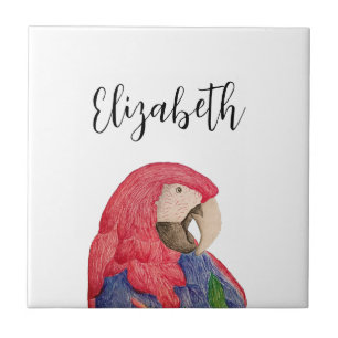 Tropical Parrot Drawing Colourful Macaw Ceramic Tile