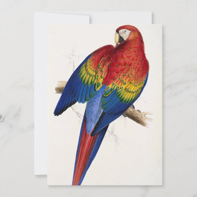 Tropical Parrot Invitations (Front)