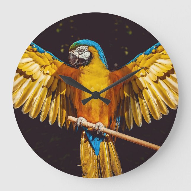 Tropical Parrot On A Perch  Large Clock (Front)