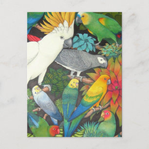 Tropical Parrots & Bromeliads Postcard
