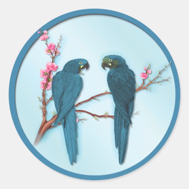 Tropical Parrots Classic Round Sticker (Front)
