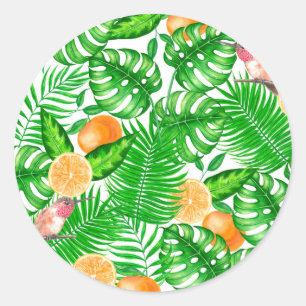 Tropical pattern, hummingbirds II Classic Round Sticker